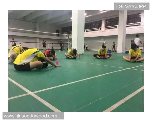 深圳羽毛球队逆袭之路揭秘挑战赛背后的奋斗与荣耀